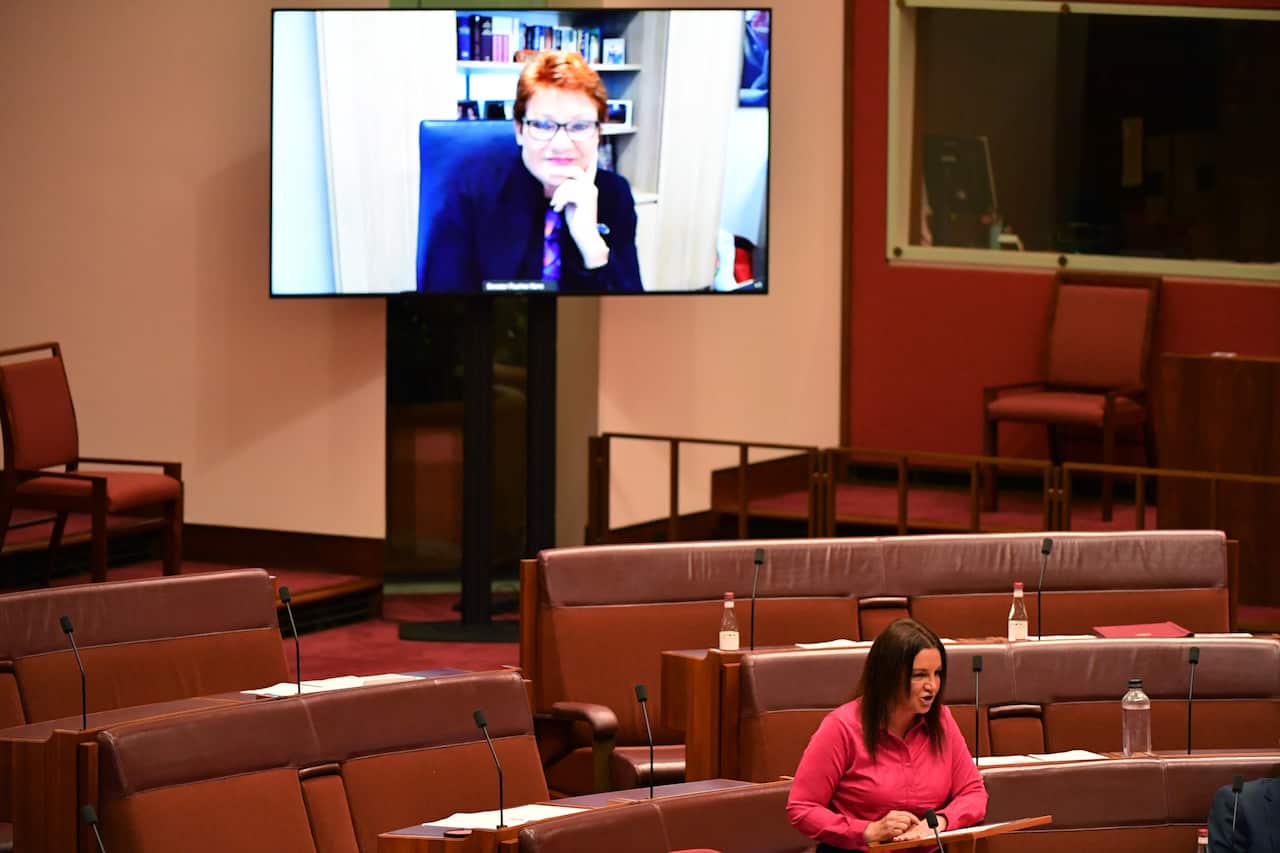 Senator Lambie speaks in the Senate chamber.