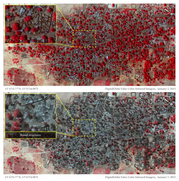 Satellite image of the village of Doro Baga in north-eastern Nigeria taken on 2 Jan 2015. Image shows an example of the densely packed structures and tree cover. Satellite image 2, taken on 7 Jan 2015, shows almost all of the structures razed. The red are