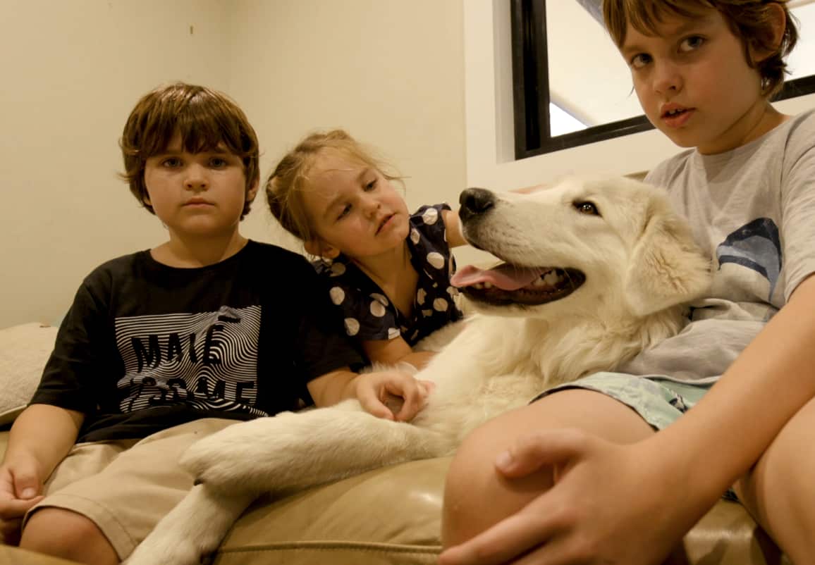 Aaron Coulon, 6 (left) with sister Amelie, 4, and brother Tristan, 9, and their rescue pup Barkley.