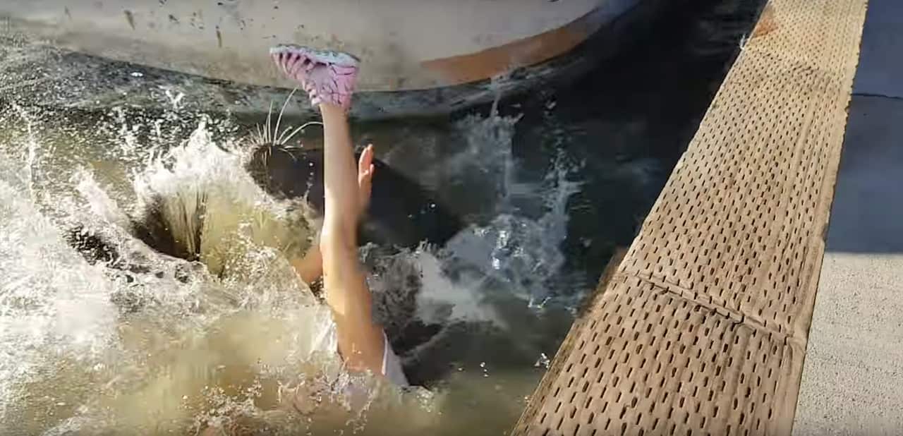 The seal lunges and pulls the young girl into the water.