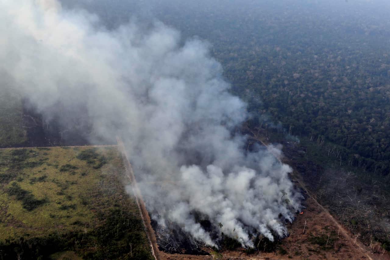 A fire in the Amazon rain forest near Porto Velho, Rondonia State, Brazil.