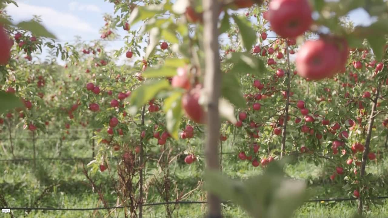 The Smith farm has been in the family since 1888. 