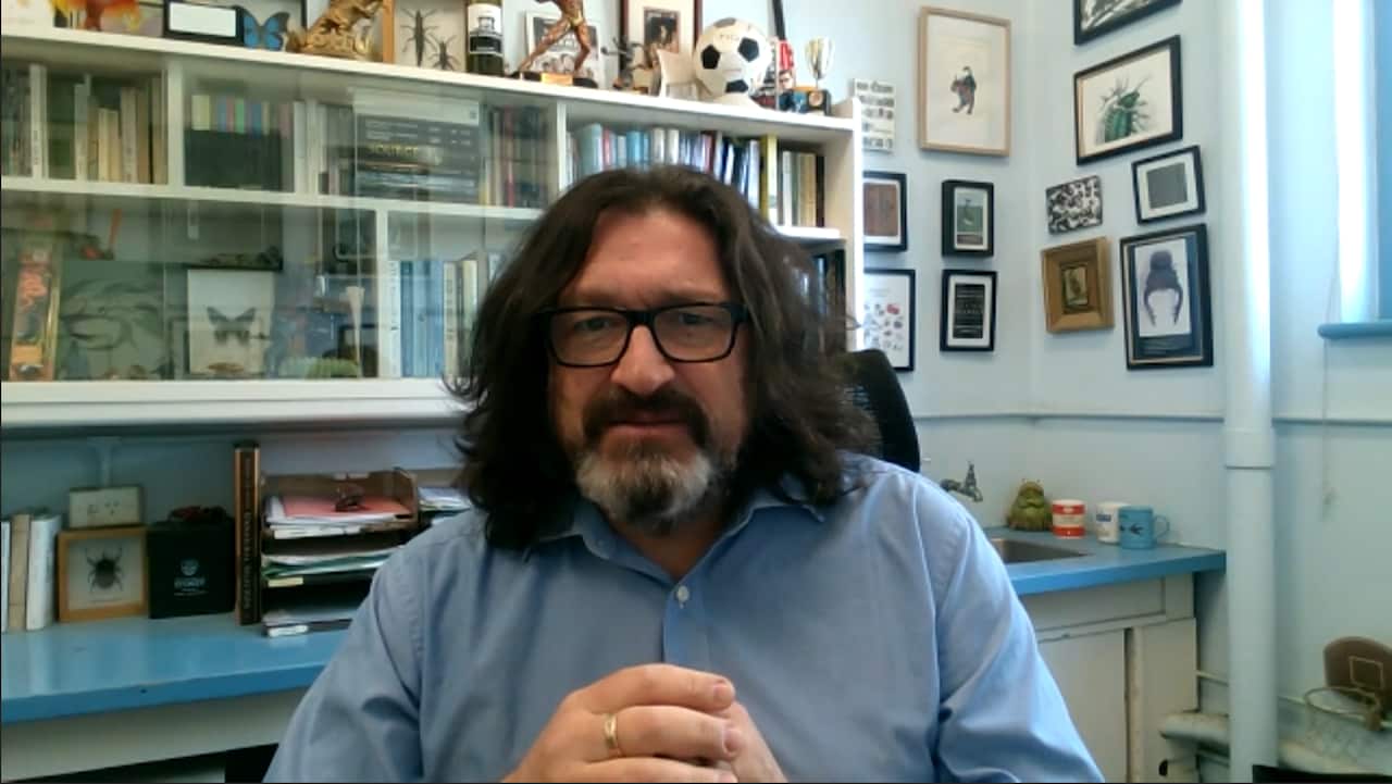 Professor Dieter Hochuli