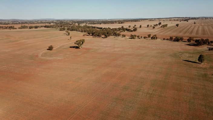 NSW farms in drought