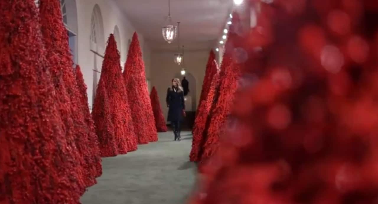A still from the White House video.