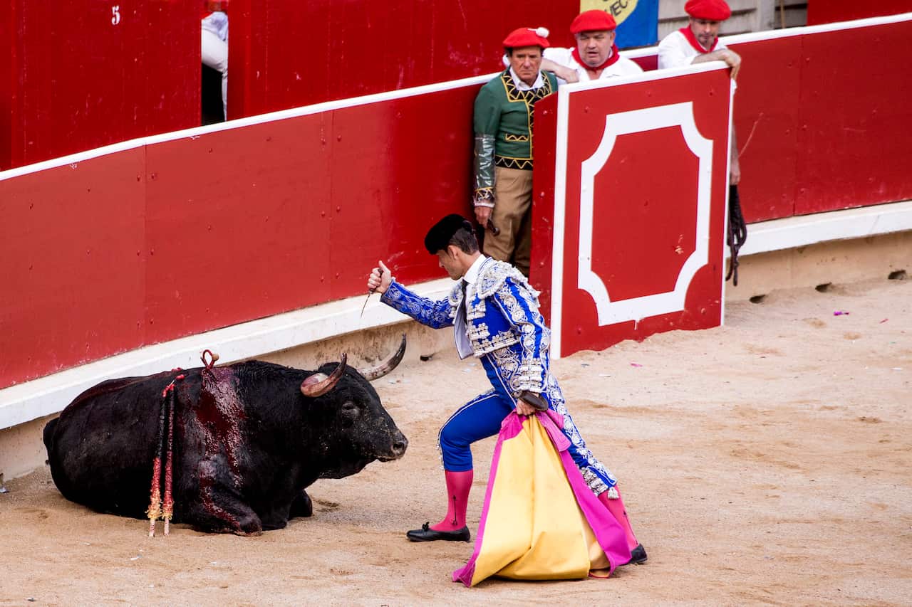 A matador prepares to deal the final blow to a bull during a bullfight. 