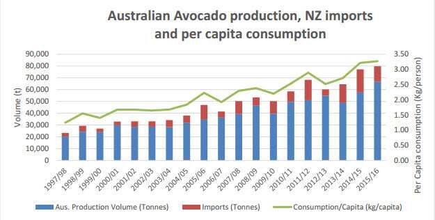 Avocados Australia