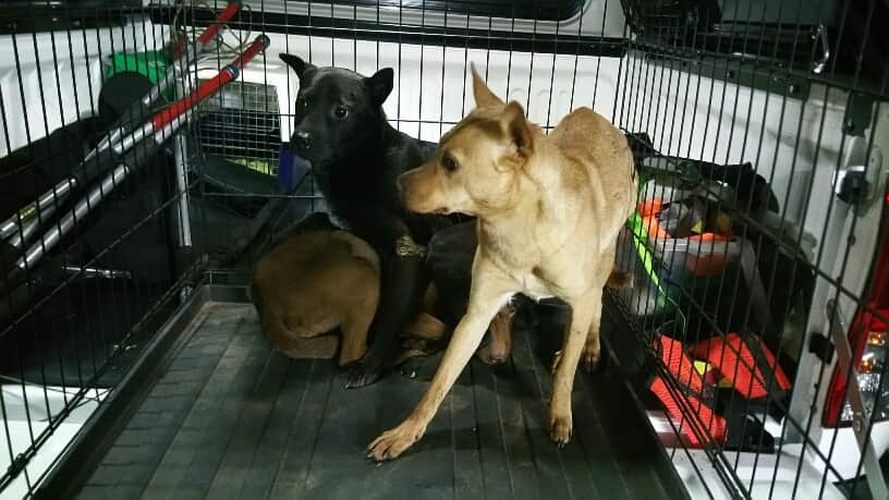 Investigations are continuing.