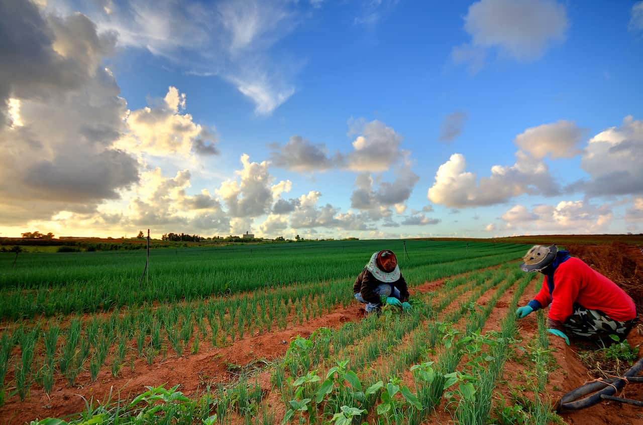Australia's agricultural sector has been criticised for the way it has treated migrant workers.