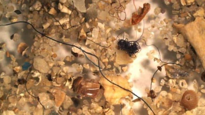Microplastics
