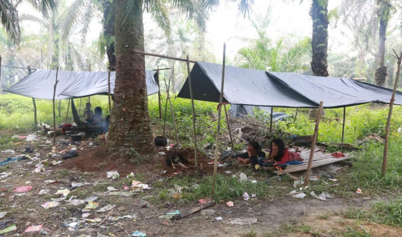The living conditions on one Indigenous group in Indonesia.