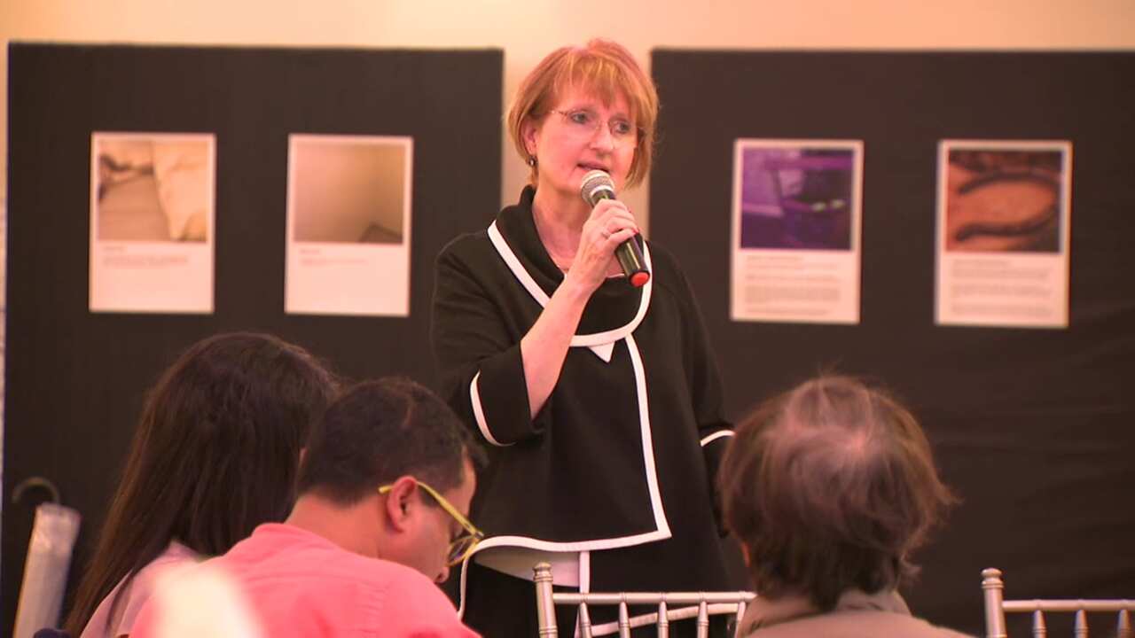 NSW Mental Health Commissioner Catherine Lourey said stigma surrounding mental illness needs to be reduced in all communities.