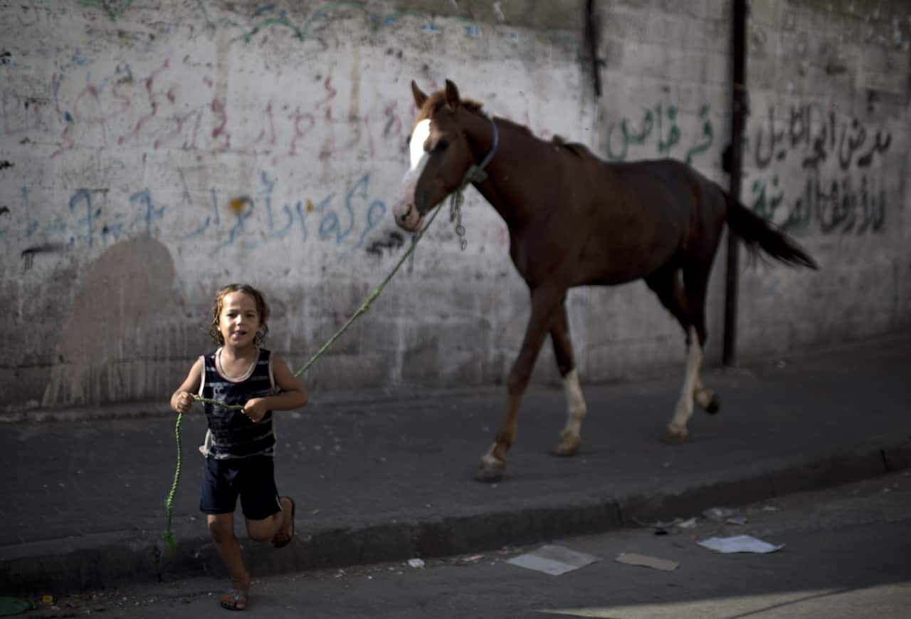 A Palestinian child pulls a horse as displaced civilians flee the Shejaiya neighbourhood.