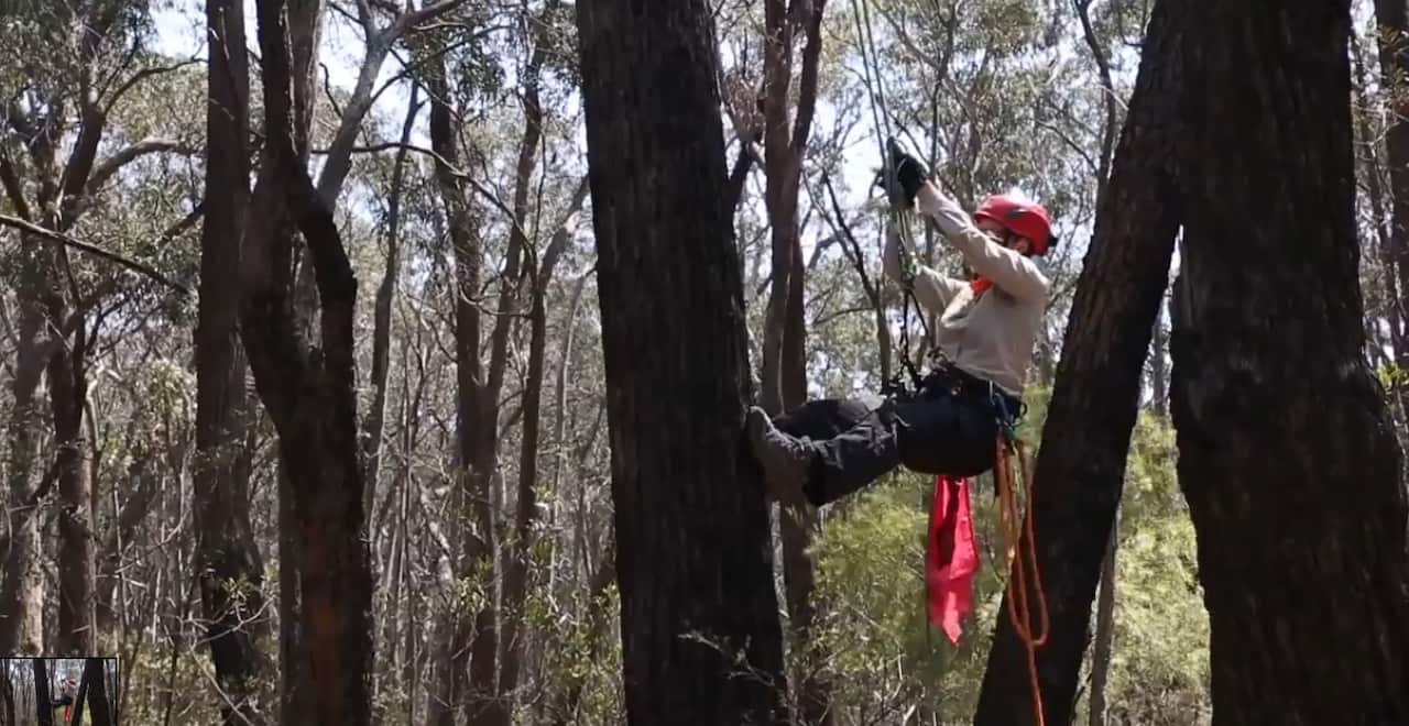 The 'rescue mission' underway.