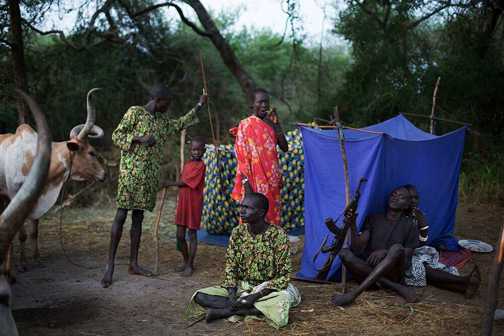 The Dinka Gok people live in close proximity to their cattle, which is their livelihood and source of wealth. (Matthew Abbott)