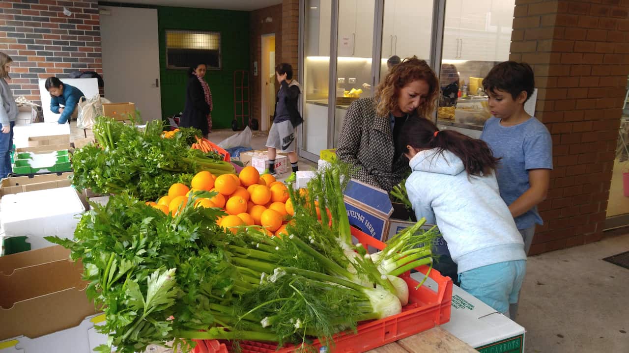 Other students and teachers help the Green Gradz package the fruit. 