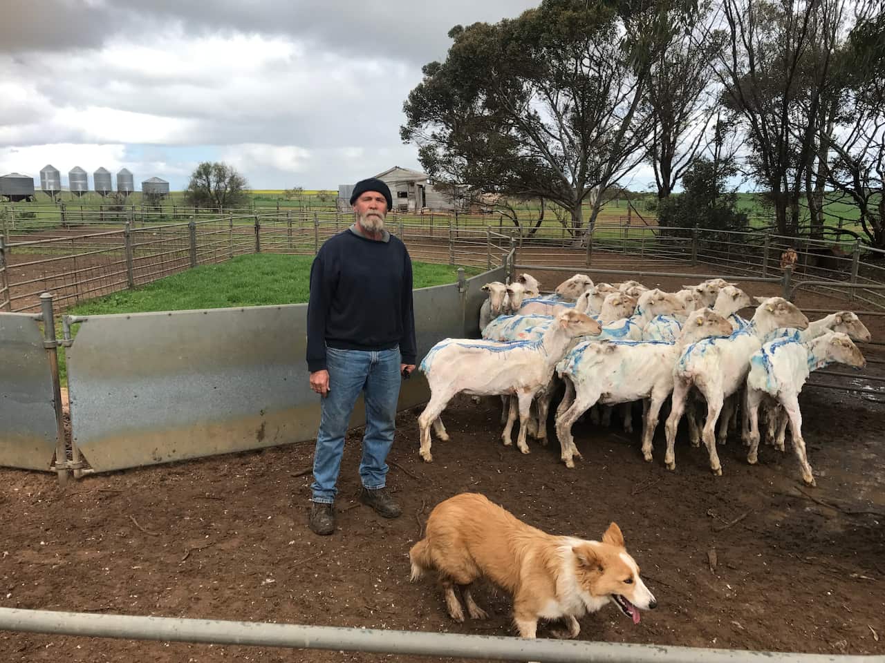 Sheep farmer Noel Siviour 