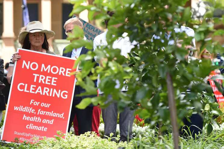Hundreds of protesters gather in Sydney in 2016 to demand that New South Wales retain strong land clearing laws.