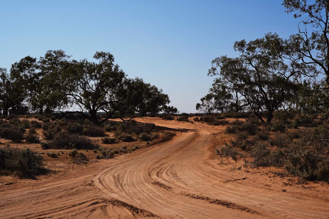 Drought has already hit large swathes of Australia's east coast including Queensland, Victoria, Tasmania and New South Wales.