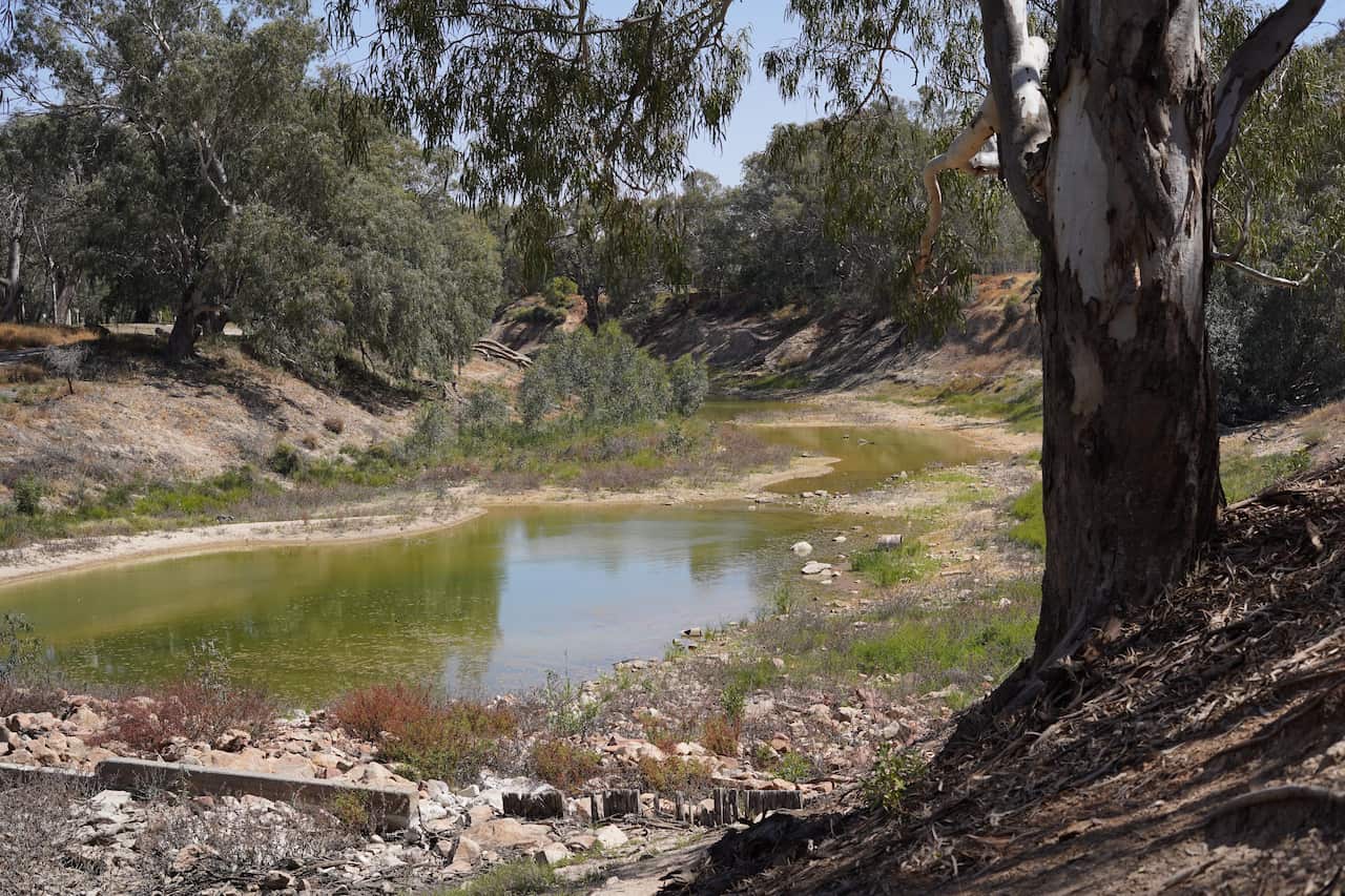 The Barkindji community say the water feels different and isn't as clear as it was when they were younger.