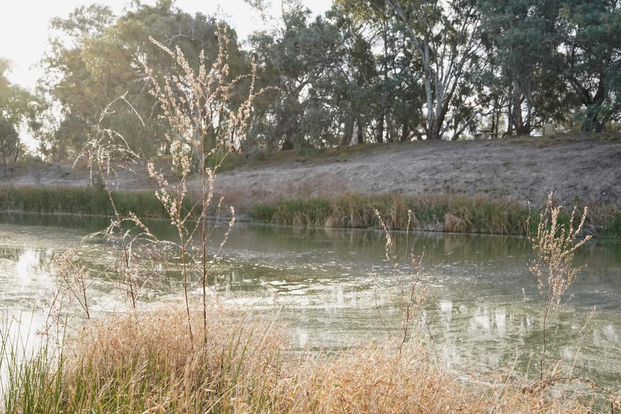 Debris still floats on the stagnant areas of the Darling river where millions of fish died December last year and January.
