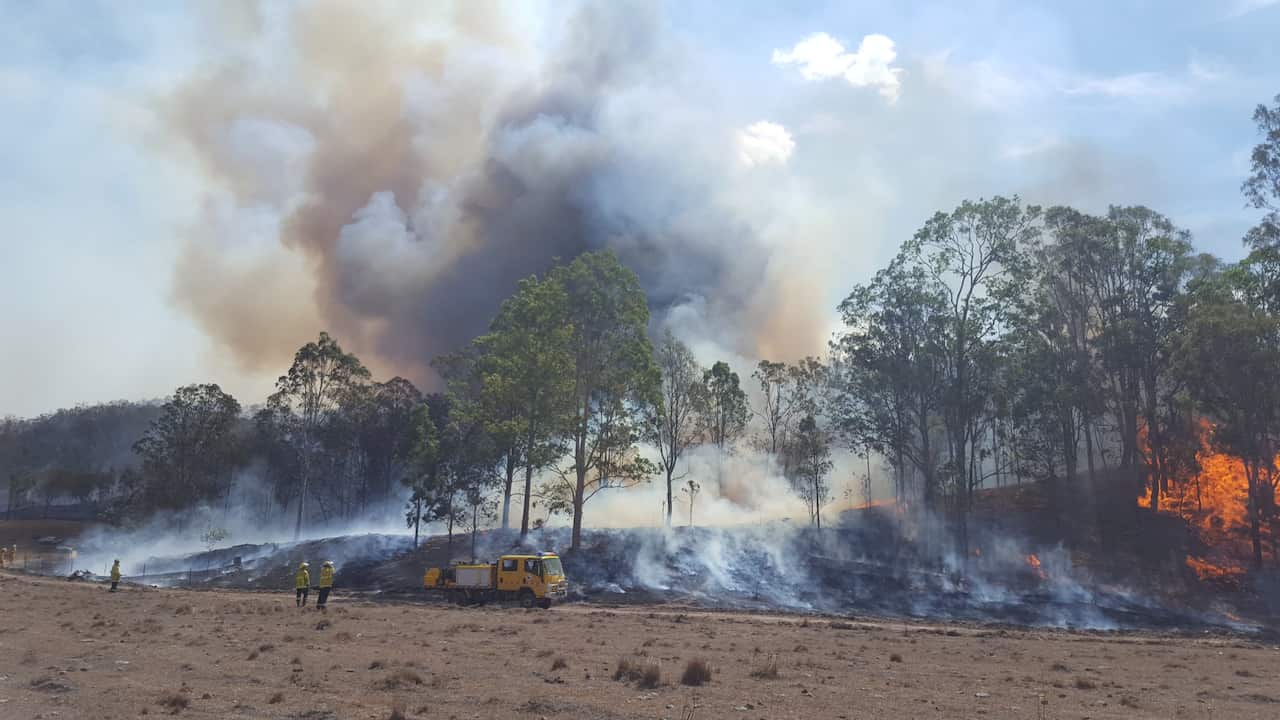 A bushfire in Queensland