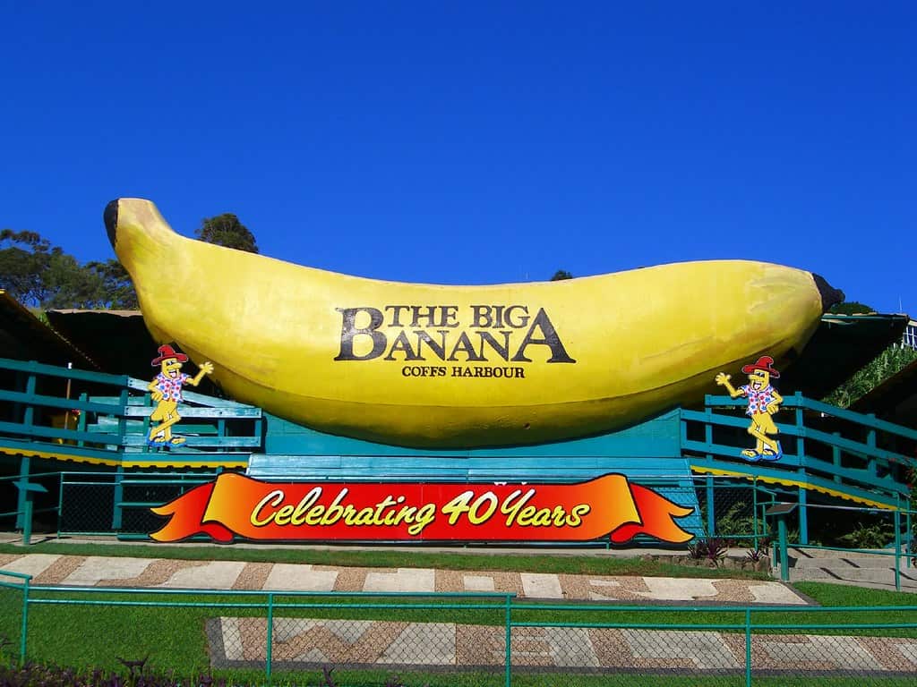 The Big Banana