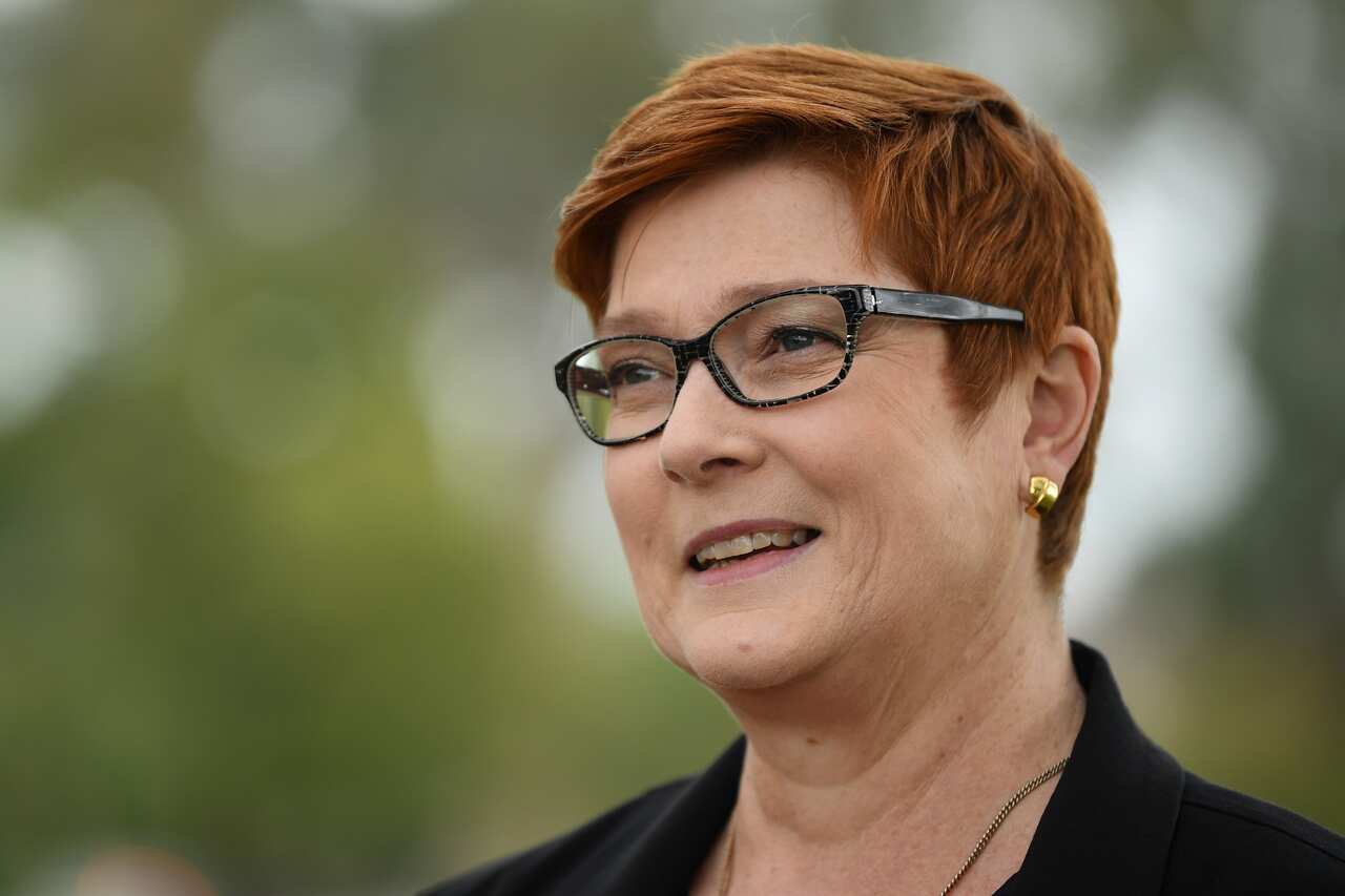 Foreign Affairs Minister Marise Payne speaks to the media.