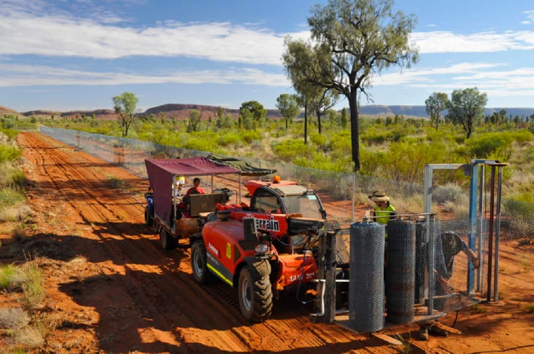 Laying ground netting for the fence.