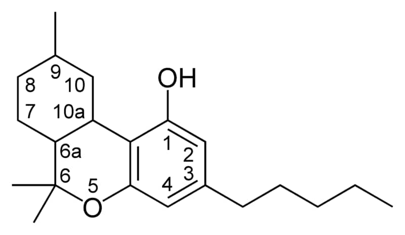 800px-cbn-type_cannabinoid.png