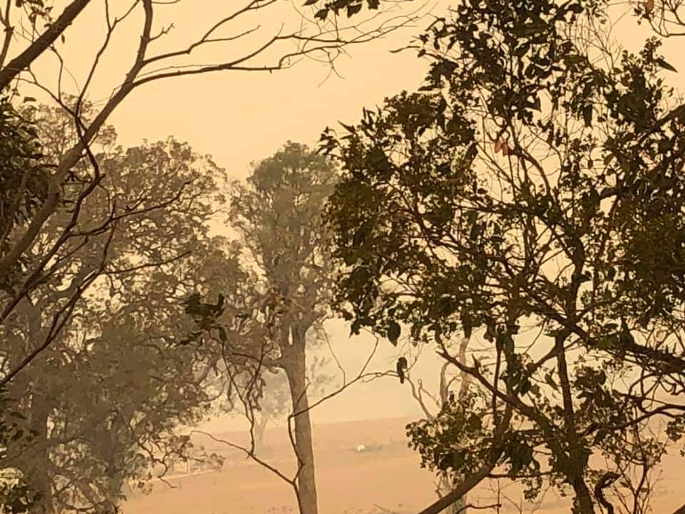 Smoke chokes the air on the NSW south coast.