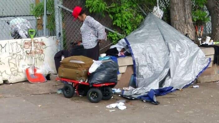 Nearly two-thirds of the women who applied for housing through the organisation experienced family violence.