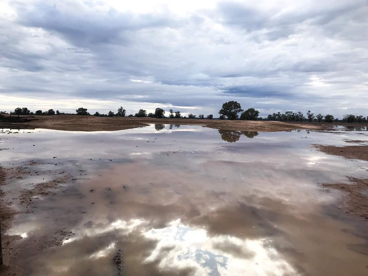 Rain fills a dam on the Aveyards' property in Tullamore
