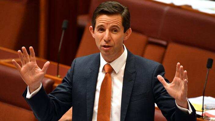 Simon Birmingham wants testing of Year 1 students