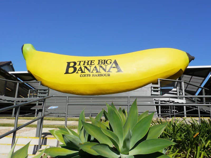 The Big Banana