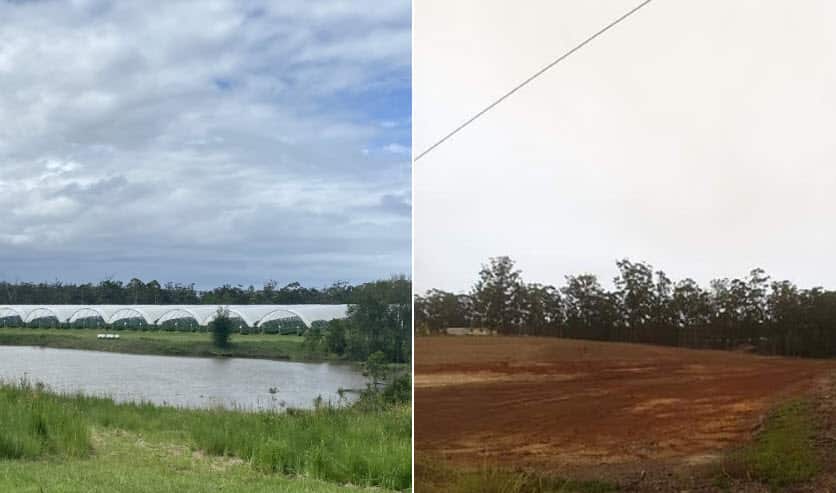 Dams at Aman Lehl's farm after and before the rain