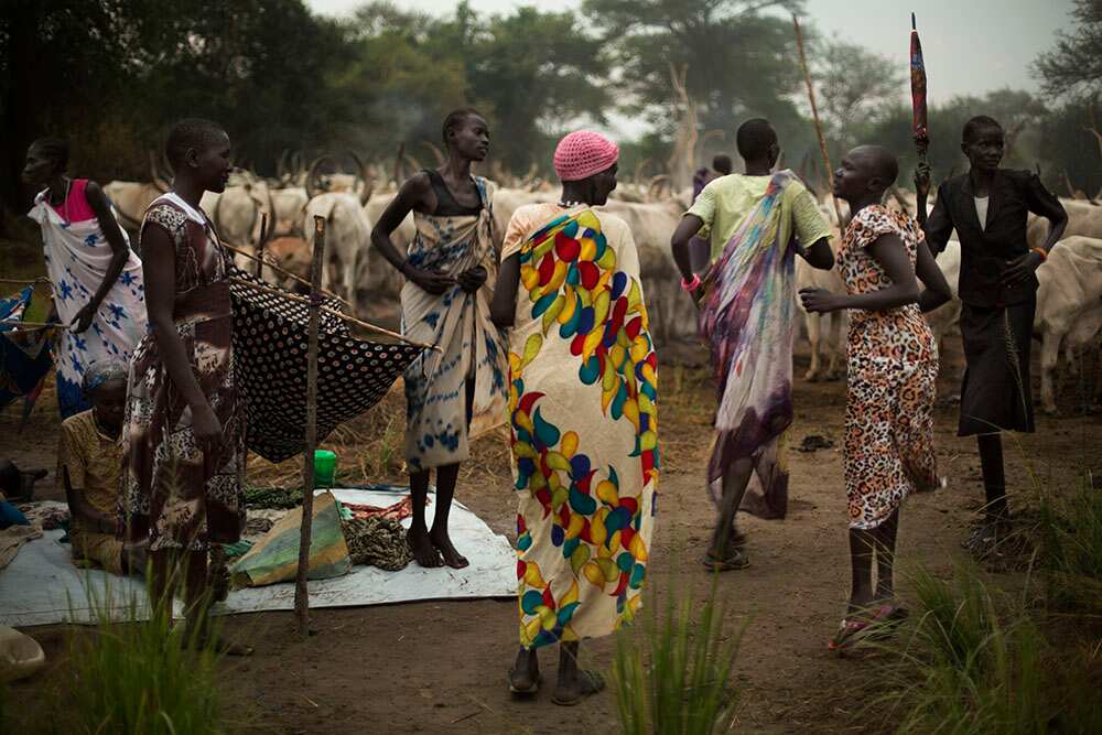 Women from another clan dance and sing to celebrate a wedding. These women will thenlive in separate quarters for a few months as part of the marriage celebrations. (Matthew Abbott)