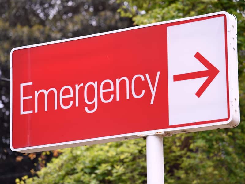 Nathan Wood has told the court how he tried to fend off the attack.