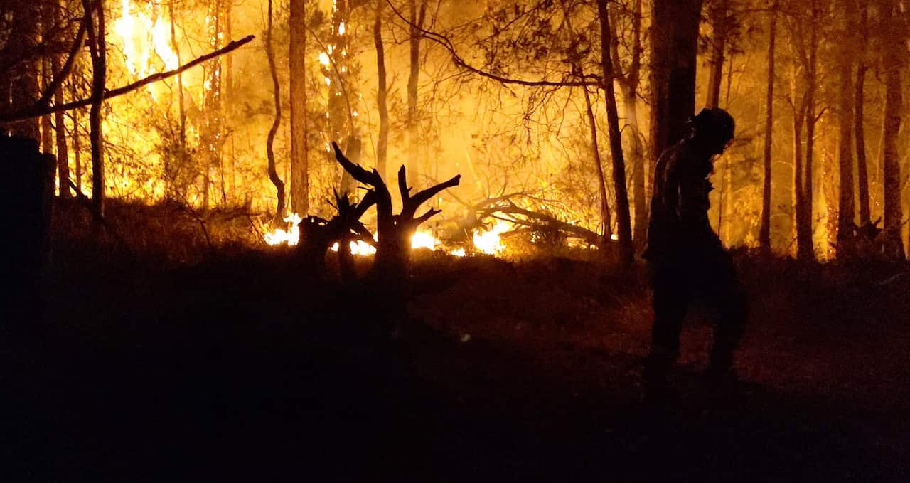 The New Year's Eve fires swept through the small town of Mogo.