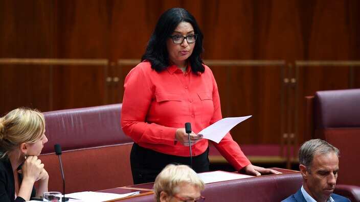 Australian Greens Senator Mehreen Faruqi speaks during Senate business, in Parliament House in Canberra, 2019. 