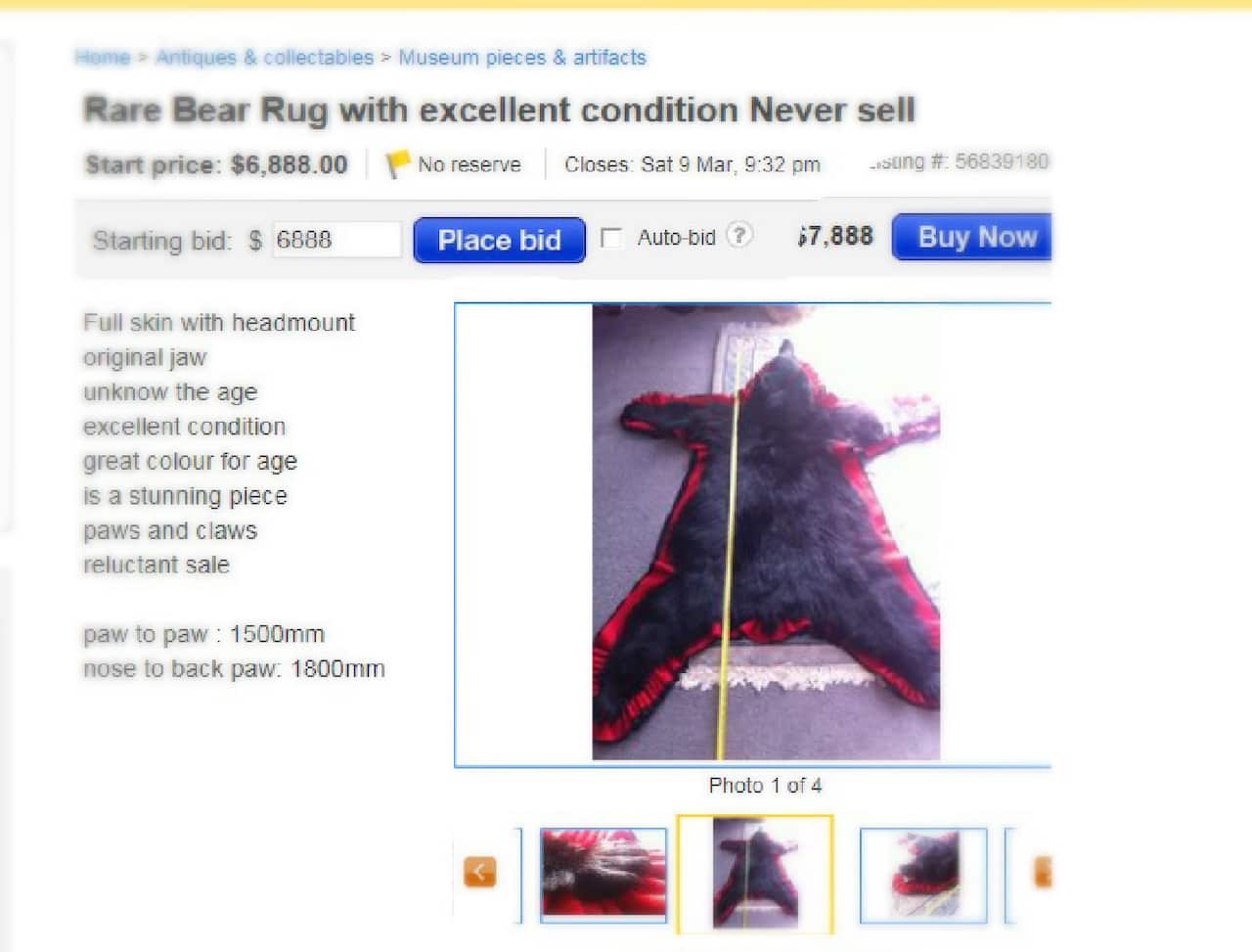 A bear skin rug listed on an e-commerce website.