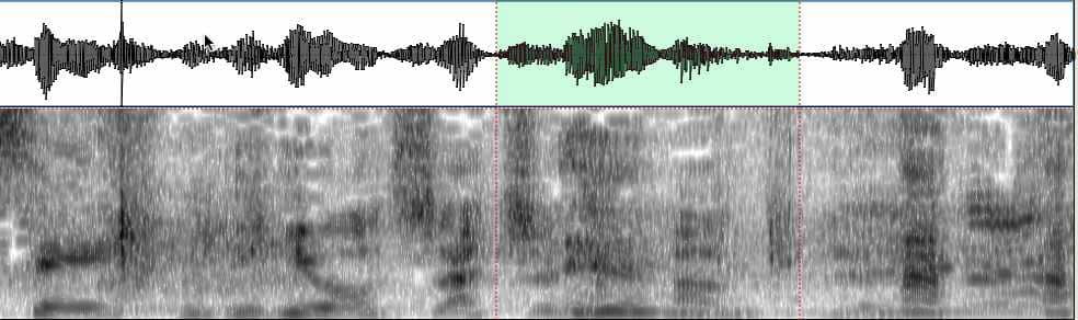 Pyne-spectrogram.jpg