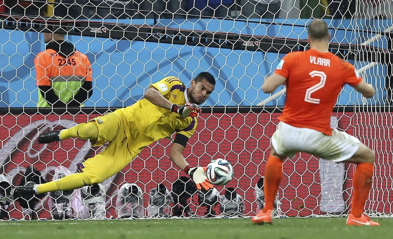 Ron_Vlaar_aap.jpg