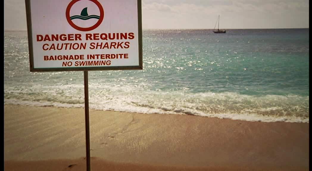 La Réunion sharks