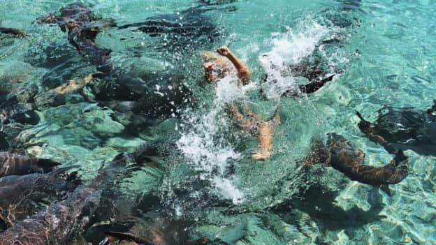 Instagram model Katarina Zarutskie pulled under water by a shark.