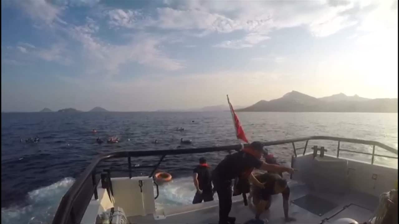 Eight dead after migrant boat sinks off Turkey