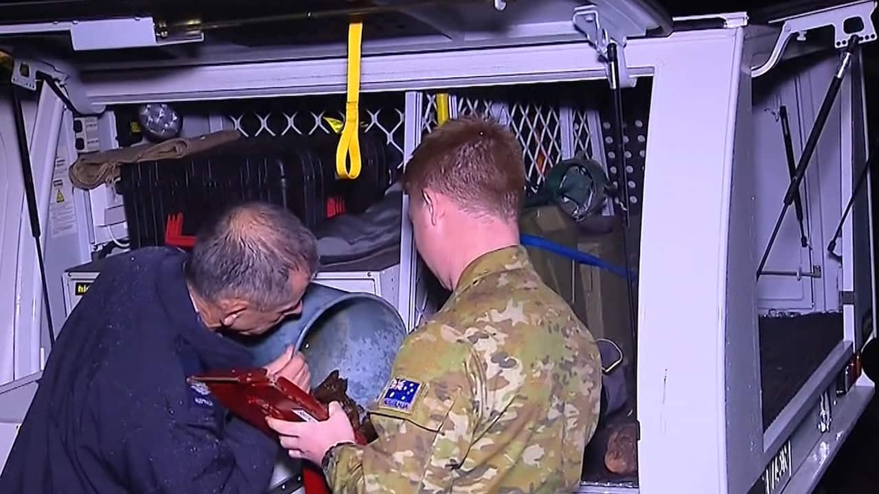 Australian Army engineers were called in to ensure the situation was safe.