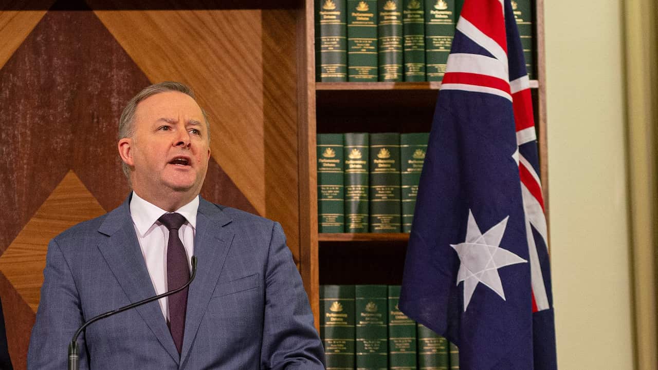 Opposition Leader Anthony Albanese. Mr Shorten has backed the new party leader. 