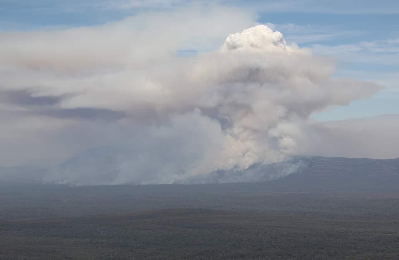 A developing pyrocumulus during the Grampians fire in February 2013 (Randall Bacon)