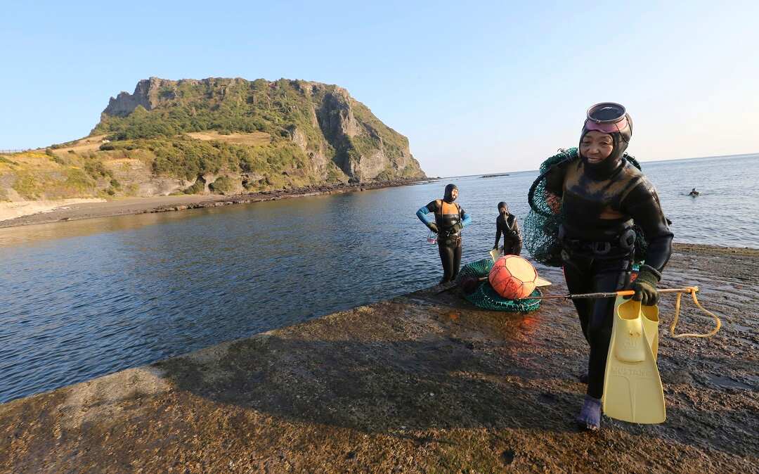 South Korean abalone divers. 